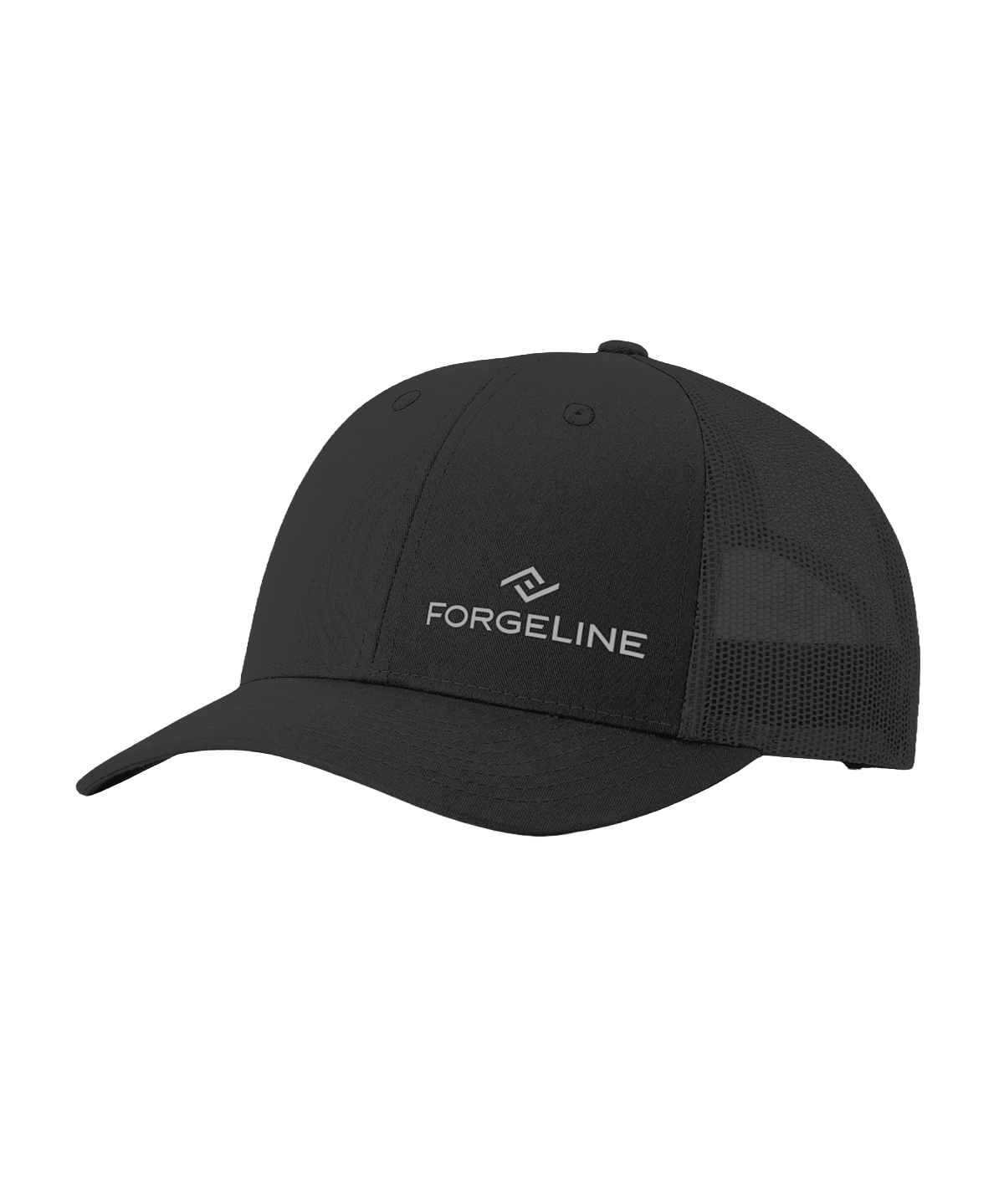 🎁 The Logo Hat (100% off)