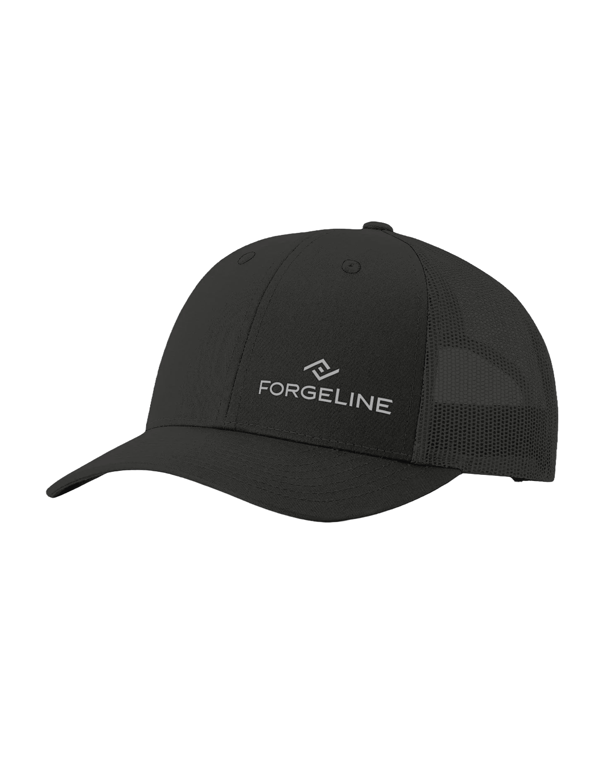 🎁 The Logo Hat (100% off)