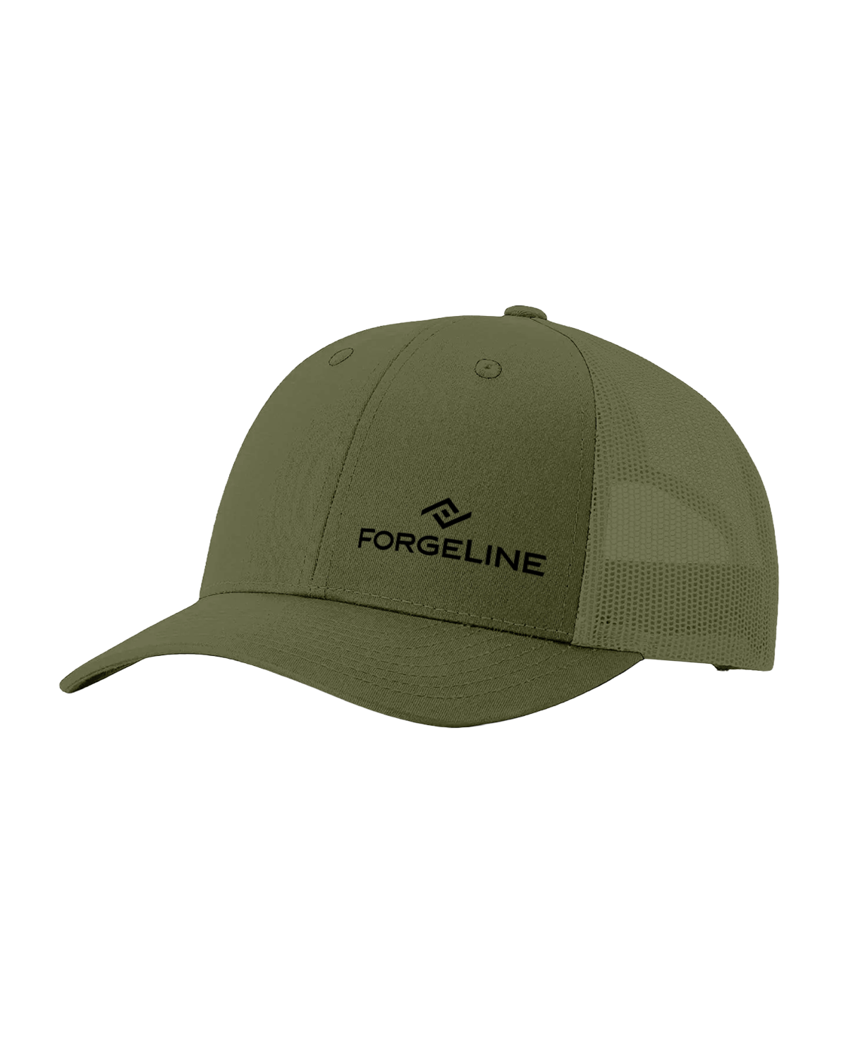 🎁 The Logo Hat (100% off)