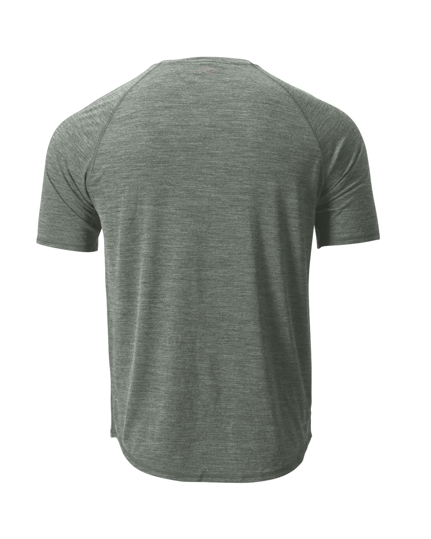 The Cozy Del Merino T-Shirt - Men's in Agave, back view