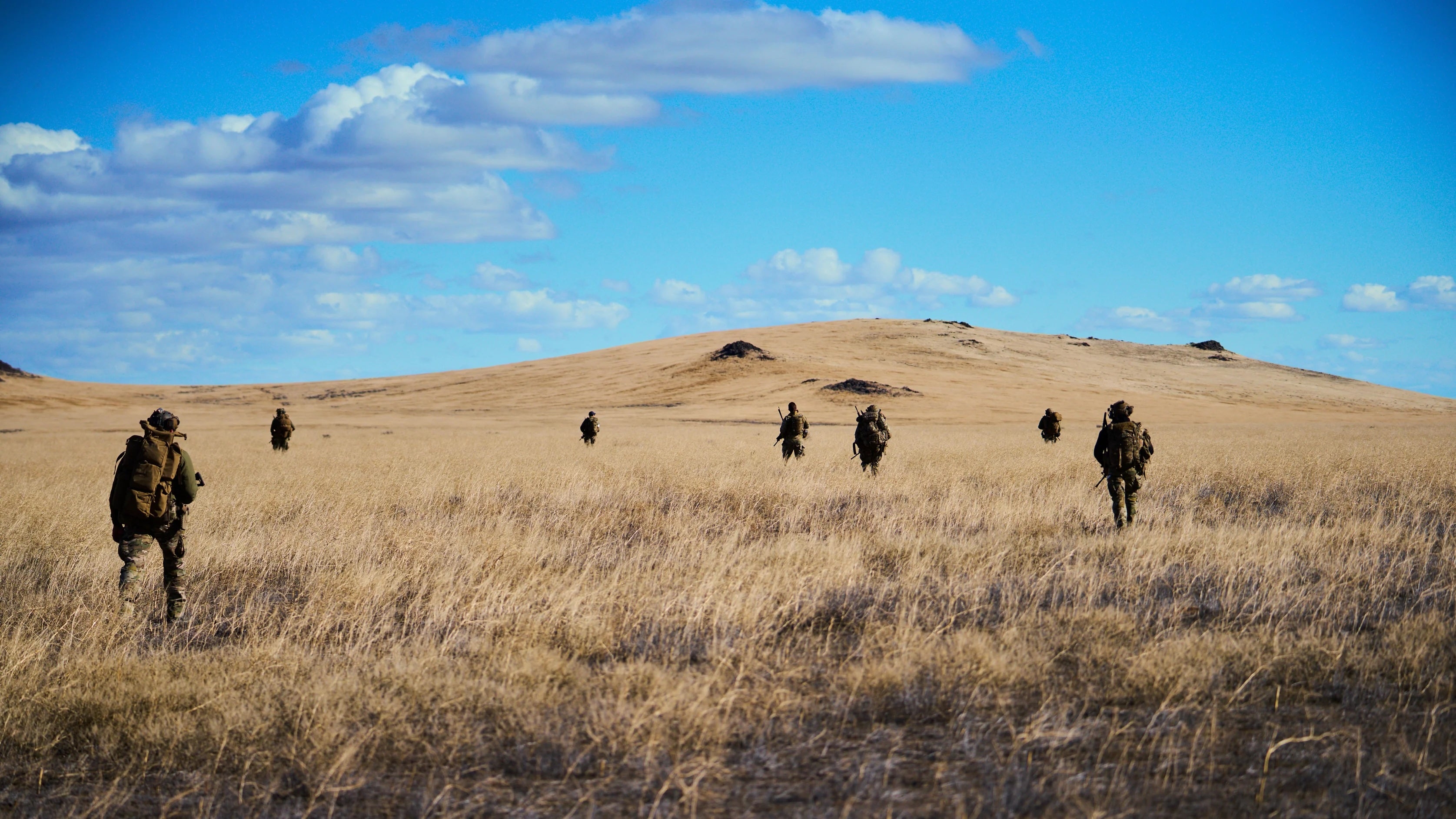 In_the_Field.jpg